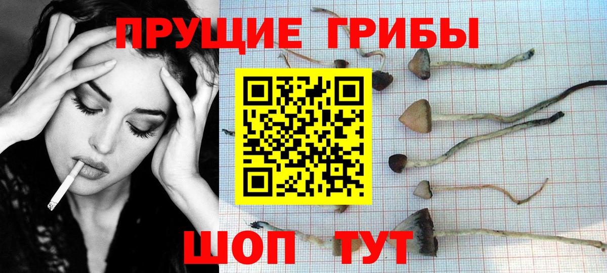 Псилоцибиновые грибы прущие грибы Арзамас